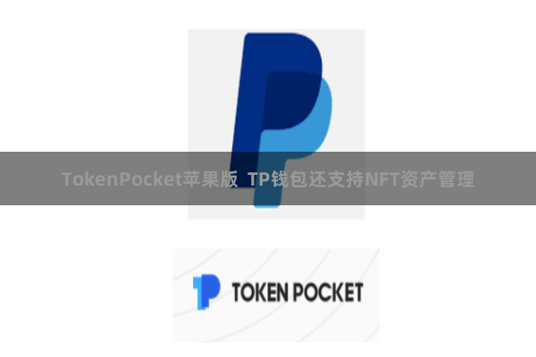 TokenPocket苹果版 TP钱包还支持NFT资产管理