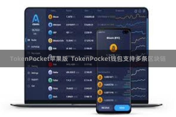 TokenPocket苹果版  TokenPocket钱包支持多条区块链